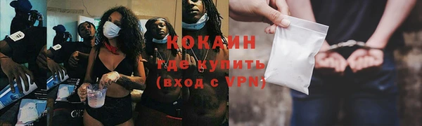 бошки Няндома